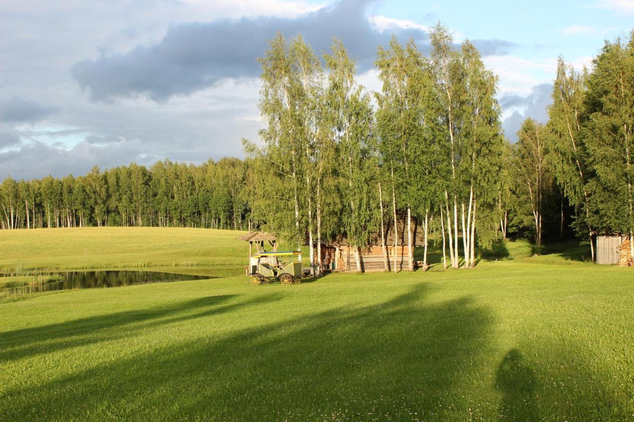 Sodyba Vieversyne Duokiskis Exterior foto